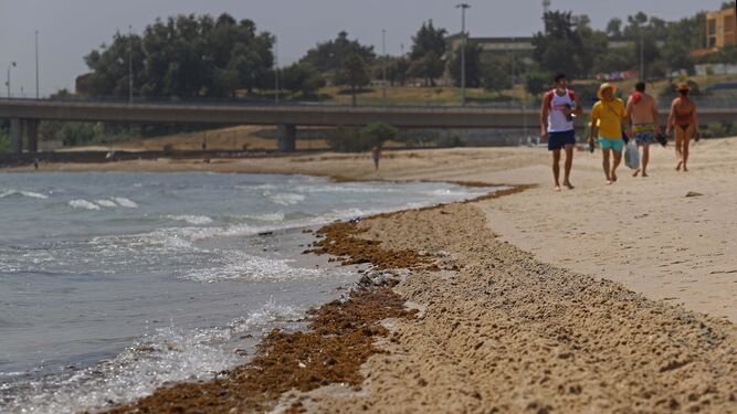 Paseantes por la playa de La Concha, en Algeciras.